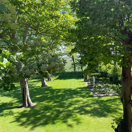 Apartment Gulfhof Dreybuelt Dreybuelt 8 Tammo *