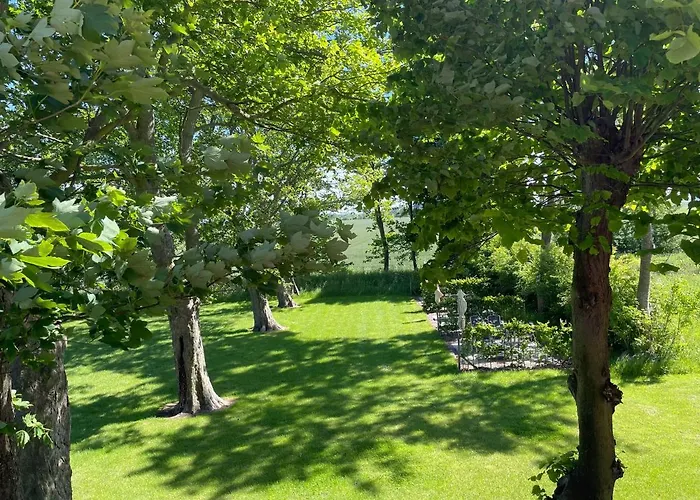 Daire Gulfhof Dreybült Dreybült 8 Tammo *