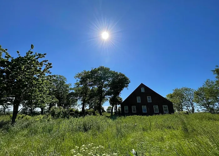 Gulfhof Dreybült Dreybült 8 Tammo Daire Dornum