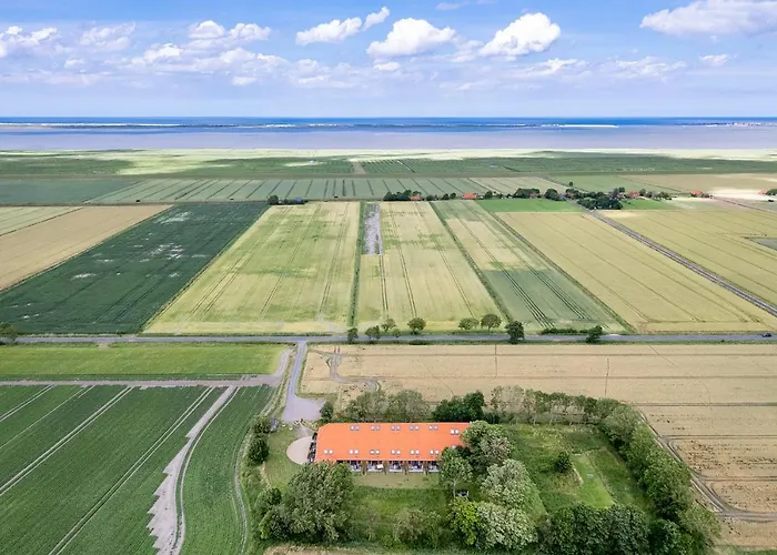 Daire Gulfhof Dreybült Dreybült 8 Tammo